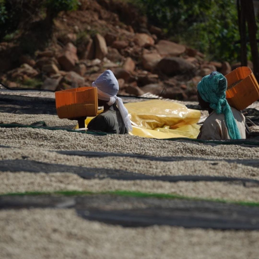 Aeropress kávé (Banko Gotiti)