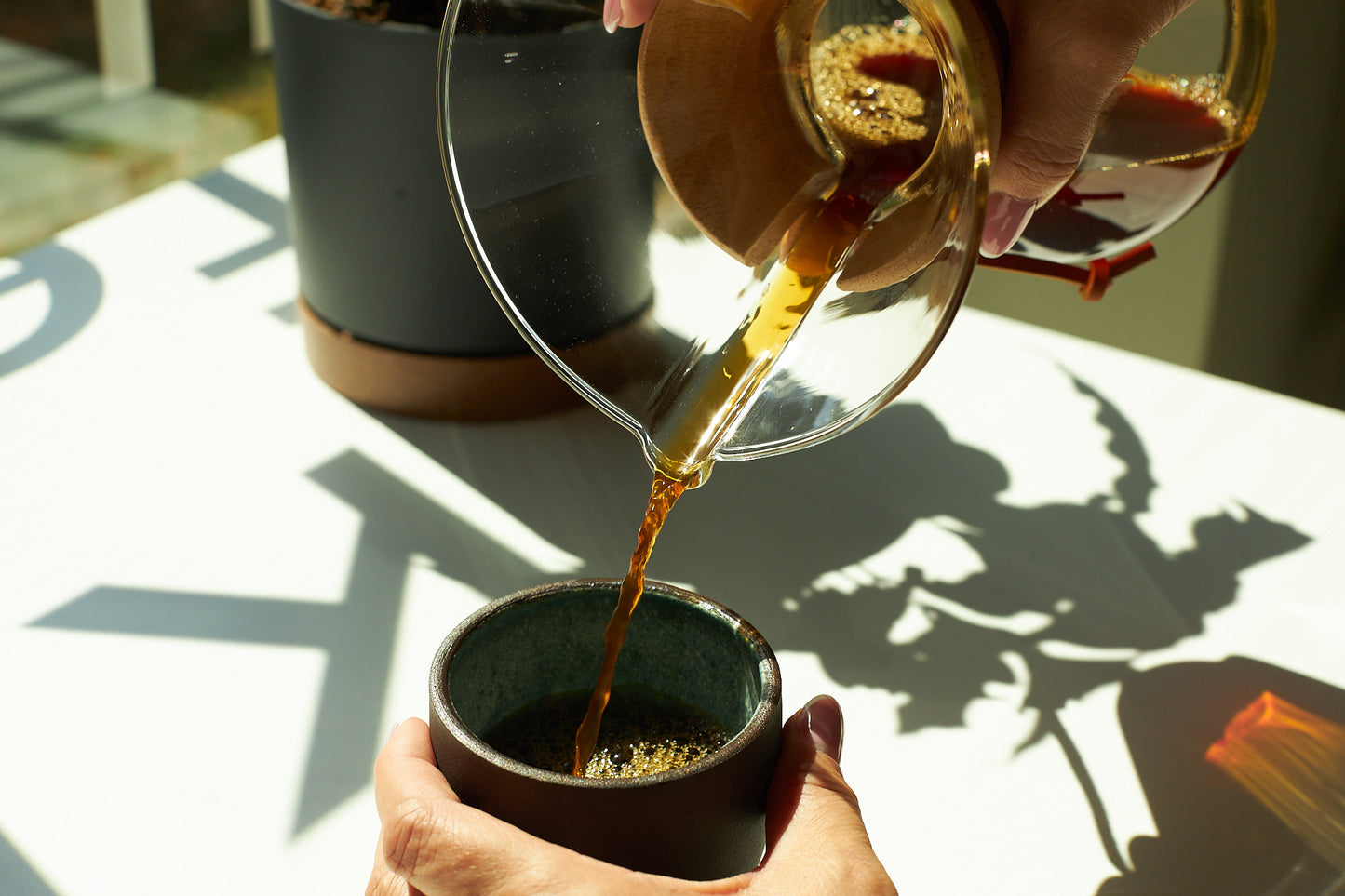 SCA - Brewing (Filterkávé) KÖZÉPFOKÚ KÉPZÉS