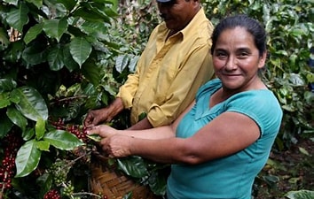 Nicaragua EL LIMON