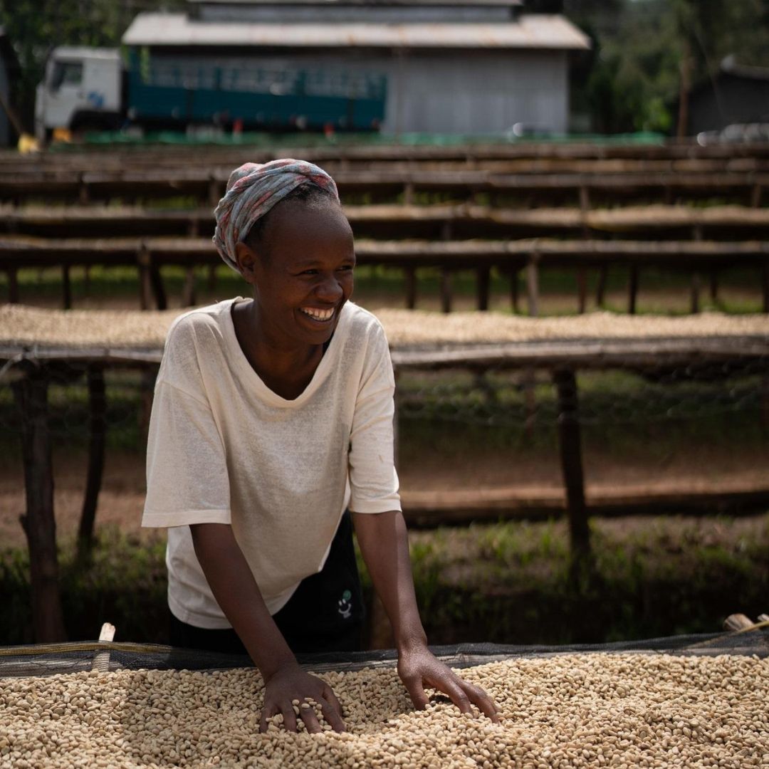 Aeropress kávé (Banko Gotiti)