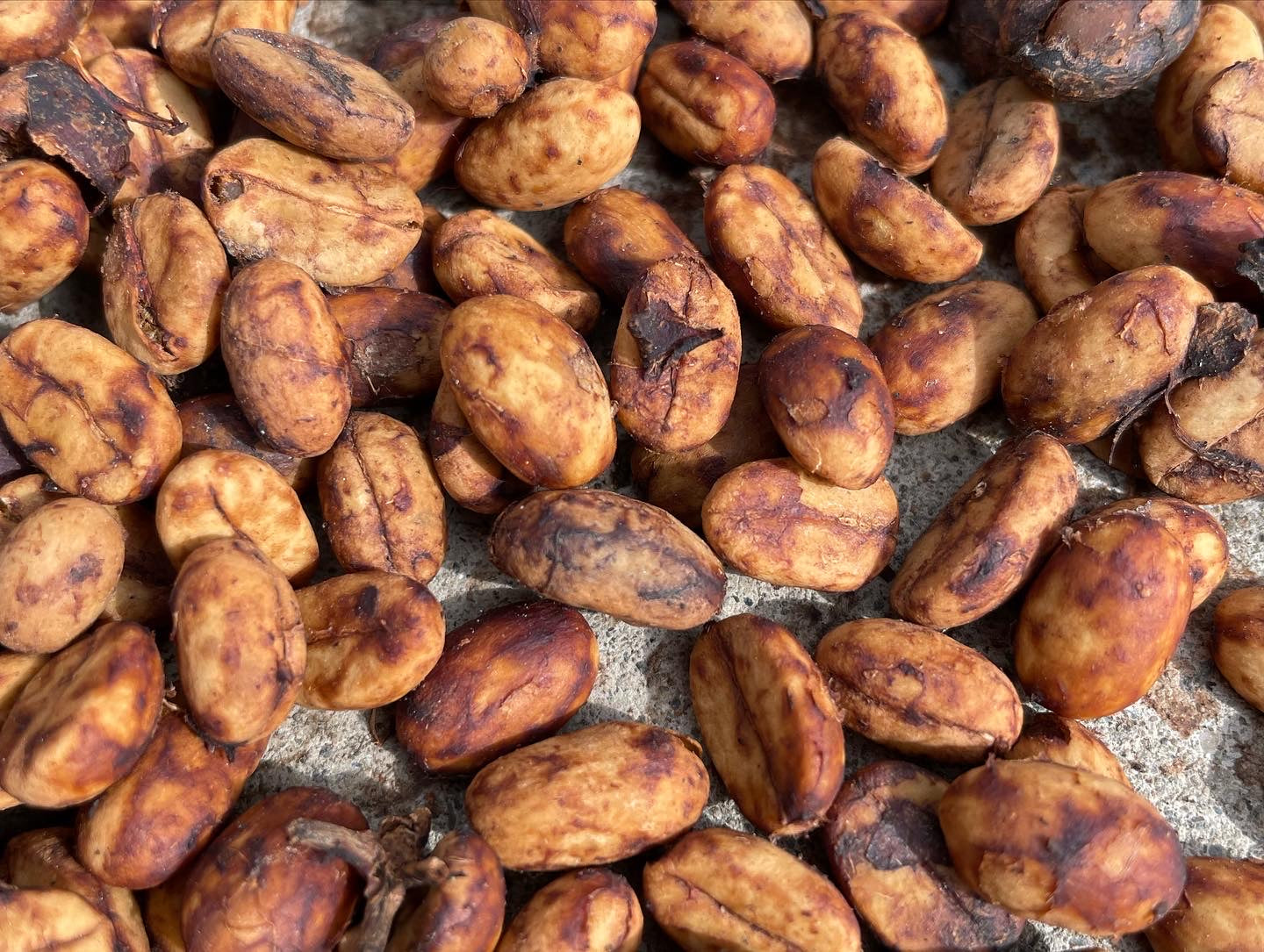 COLOMBIA Sebastian Ramirez cinnamon