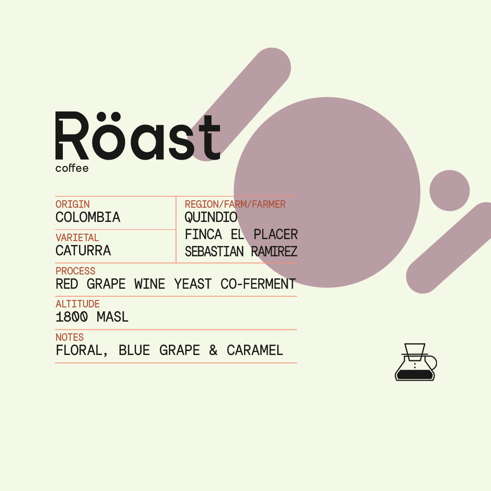 COLOMBIA Sebastian Ramirez - purple fruit