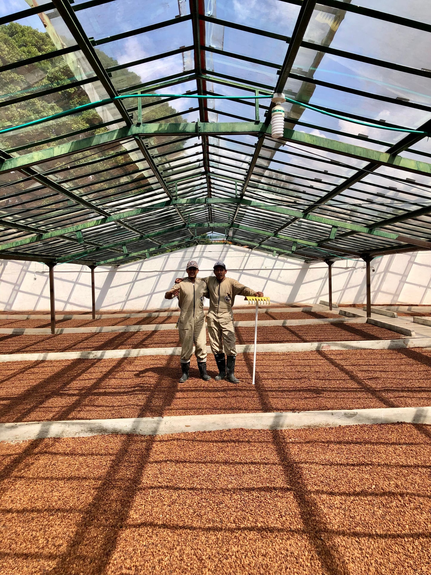 COLOMBIA Sebastian Ramirez cinnamon