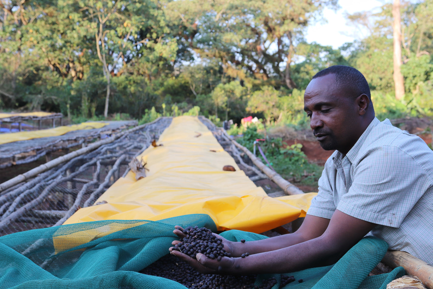 Ethiopia  BESHASHA