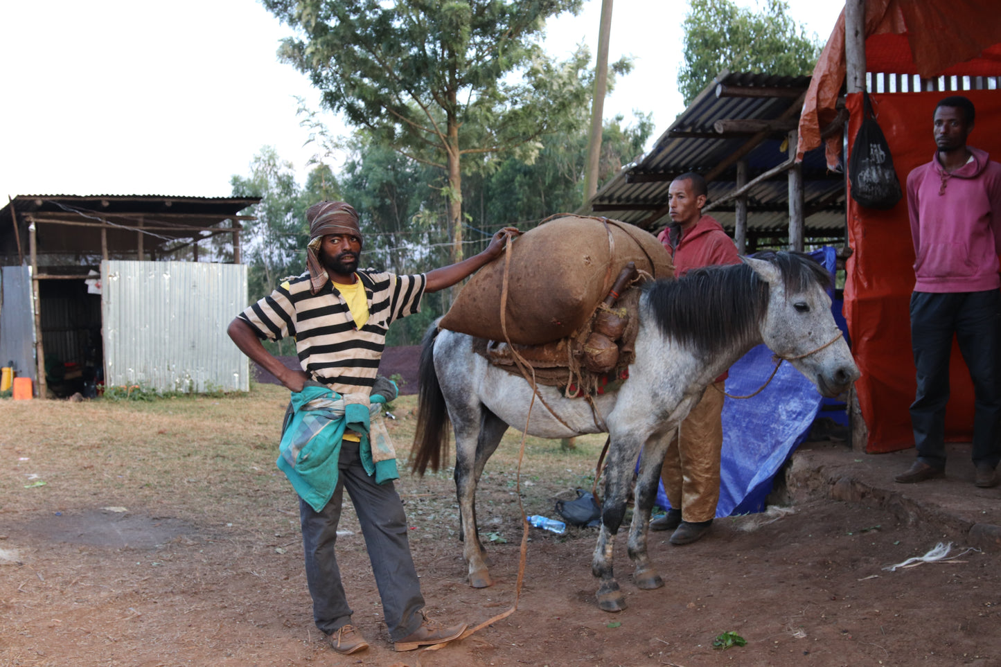 Ethiopia  BESHASHA