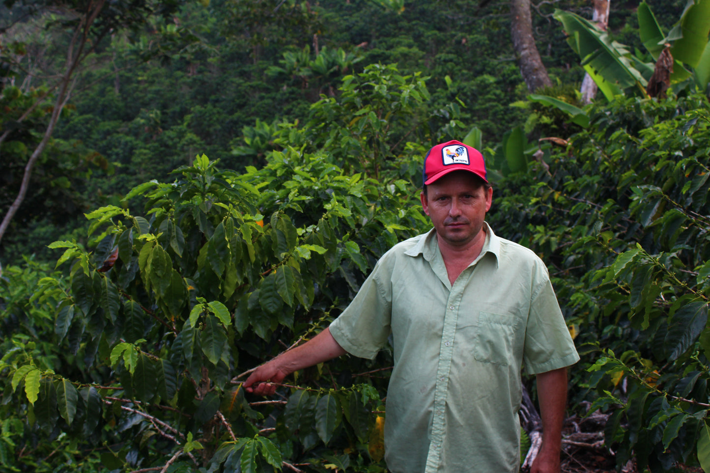 HONDURAS - Sebastian Meija